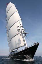 2006_1002_155224AA MALTESE FALCON