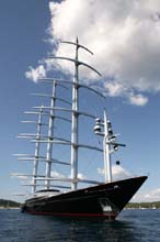 2006_1005_135950AA MALTESE FALCON