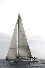 2007_1005_143314AA FAVONIUS 007