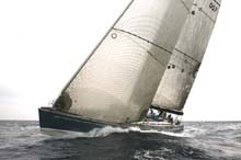 2007_1005_143512AA FAVONIUS 007