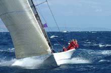 2005_1004_104458AA FULL  PELT X GBR 2436