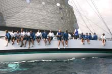 2006_1002_150740AA Morning Glory GER 5386