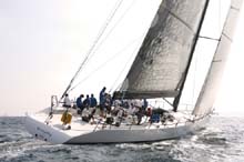 2006_1002_150924AA Morning Glory GER 5386