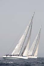 2007_1005_131620AA Morning Glory GER 5386