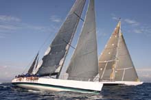 2007_1006_131938AA Morning Glory GER 5386