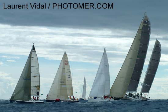 2005_1007_122620AA NINOTCHKA  SUI 917