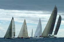 2005_1007_122620AA NINOTCHKA  SUI 917