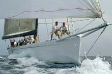 2004_1005_105528AAPYEWACKER