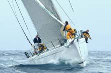 2004_1006_100912AAPYEWACKER